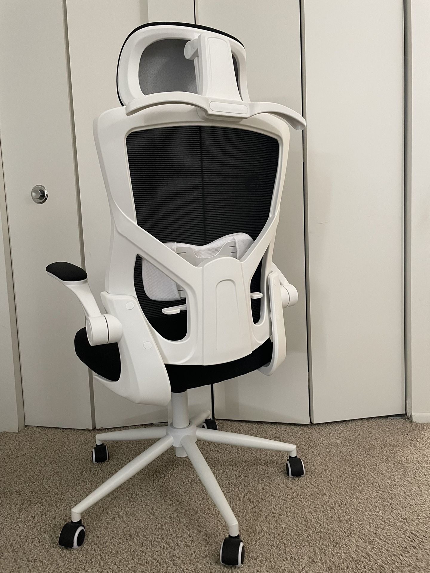 Ergonomic Mesh Office Chair(Lumbar support)– White Frame, Black Finish