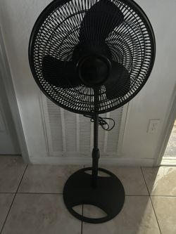 Fan