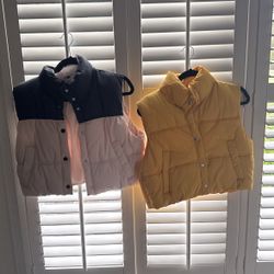 Vest