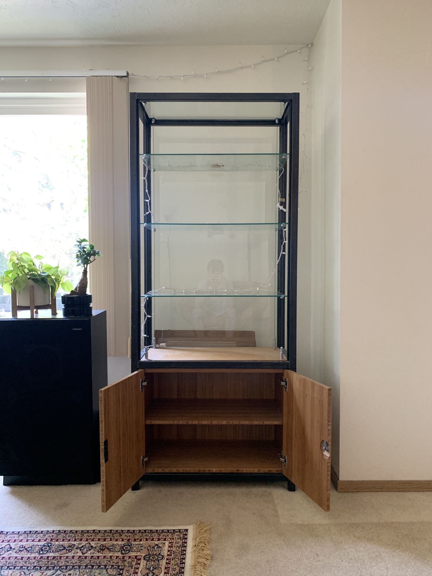 Glass Display Cabinet with 3 Floating Glass Shelves