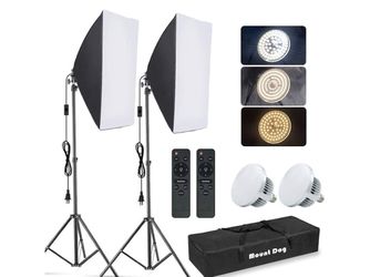 Mount Dog lighting kit