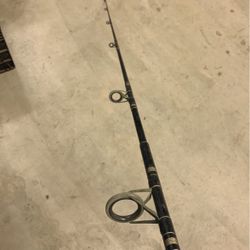 2 Piece Master Fishing Rod 