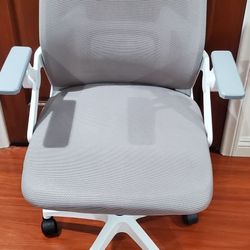 Ergonomic Office Chair