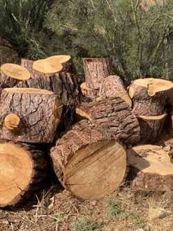 Firewood