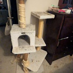 Cat Tower