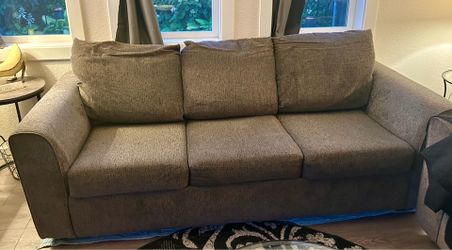 Couch Hide-a-Bed and Loveseat
