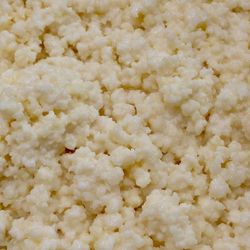 Live Milk Kefir Grains • Probiotic Starter Culture •