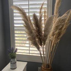 3ft 15 Pieces Pampas (vase Is Not Included)