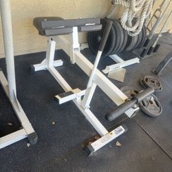 Seated Calf Machine 