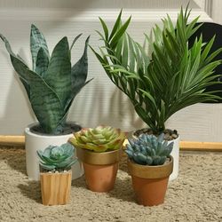 5 fake plants