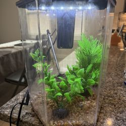 Fish Bowl With Everything Inside