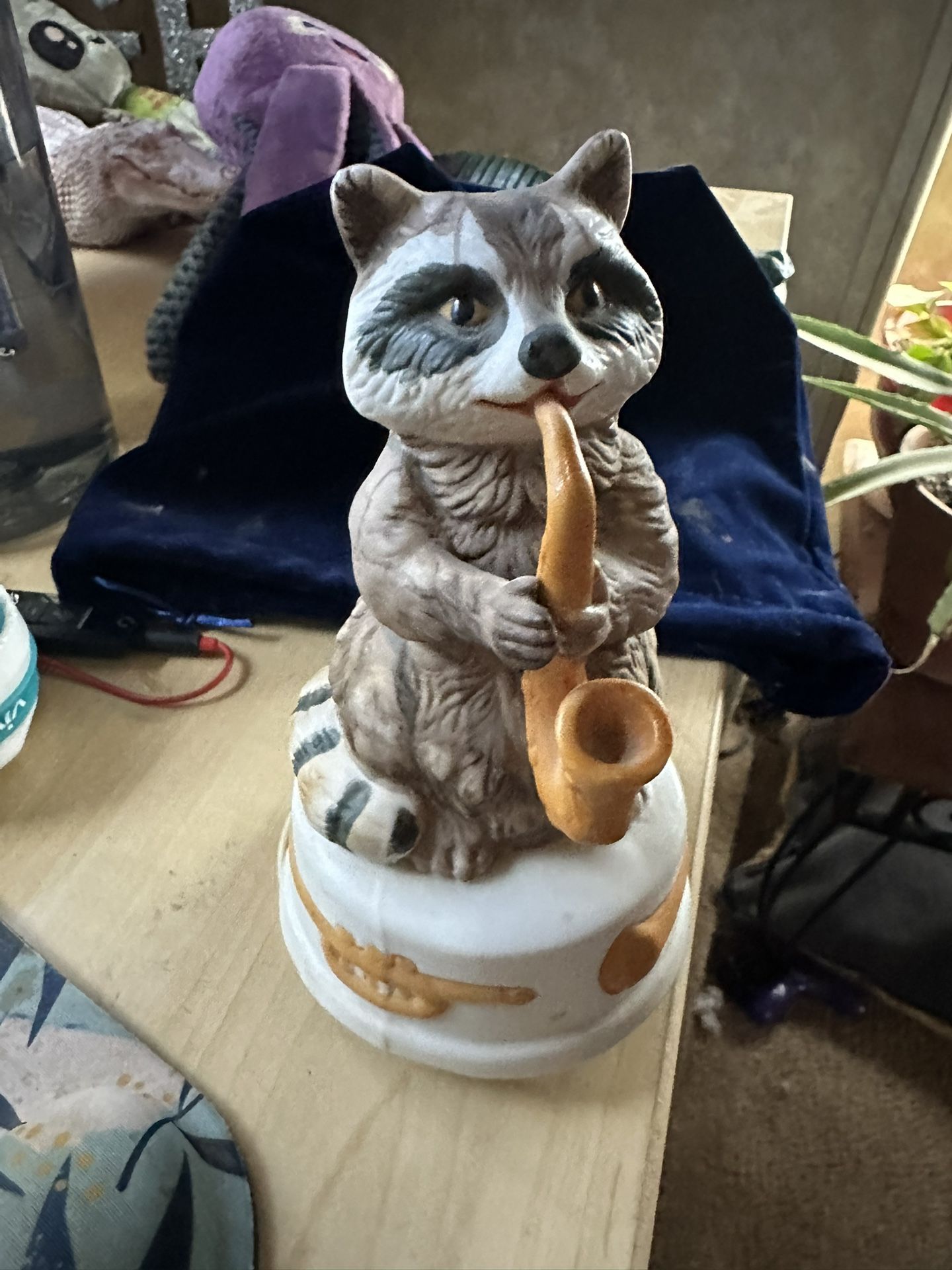 Raccoon Music Box