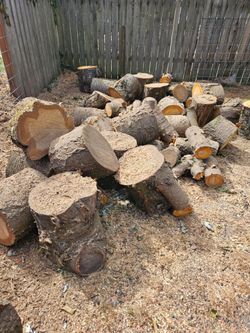 Free Cherry Wood