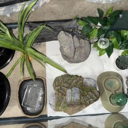 Reptile Enclosure & Accessories 