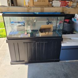 75 Gallon Fish Tank With Everything!