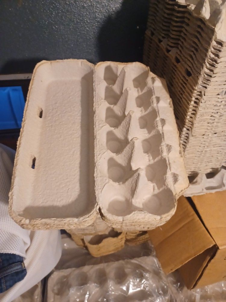 Egg Cartons