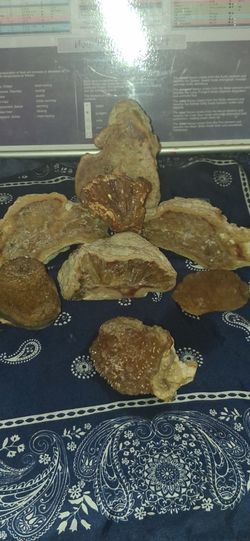 20 million yr ols honey calcite crystal lot