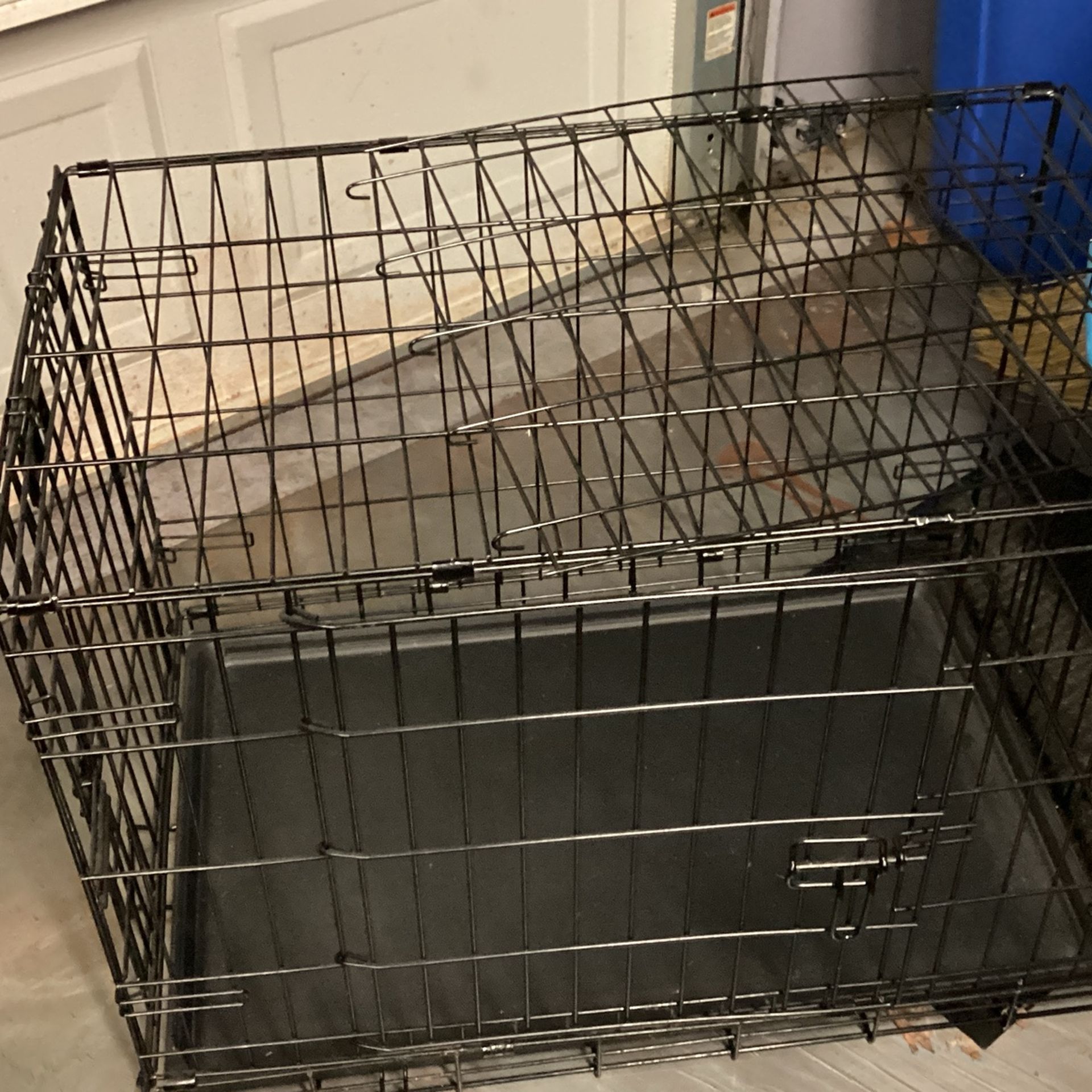 I Crate. Animals Crate opening on both sides.