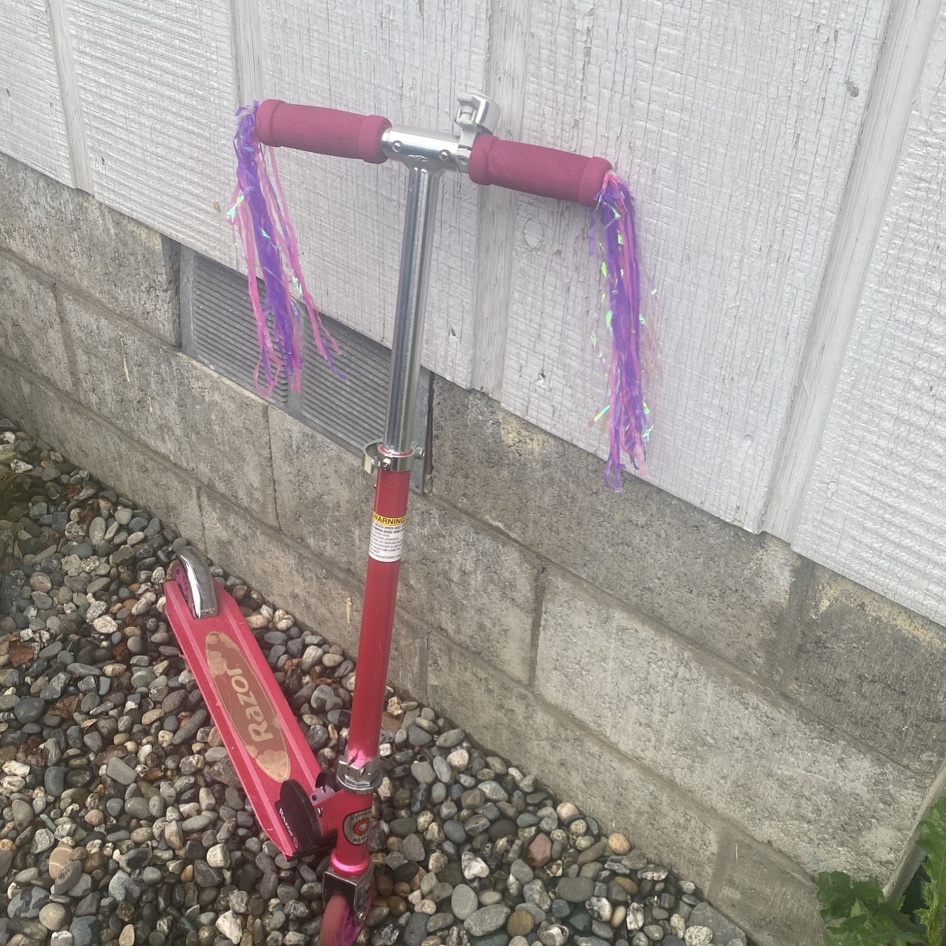 Razor Brand Scooter Pink Color Tons Of Fun Outdoors