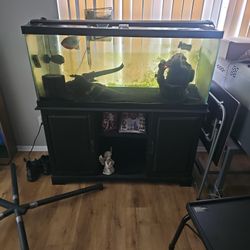75 Gallon Fish Tank And Stand