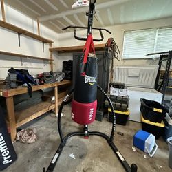 Everlast Punching Bag With Stand 