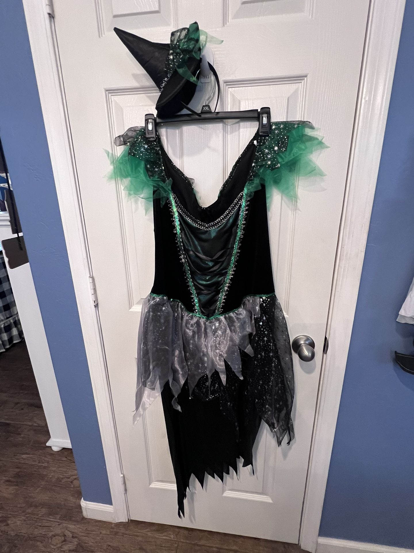 Plus Size Witch Costume