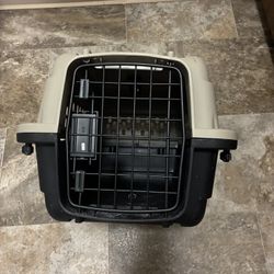 Cat/dog  Carrier