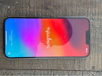 iPhone 13 Pro Max