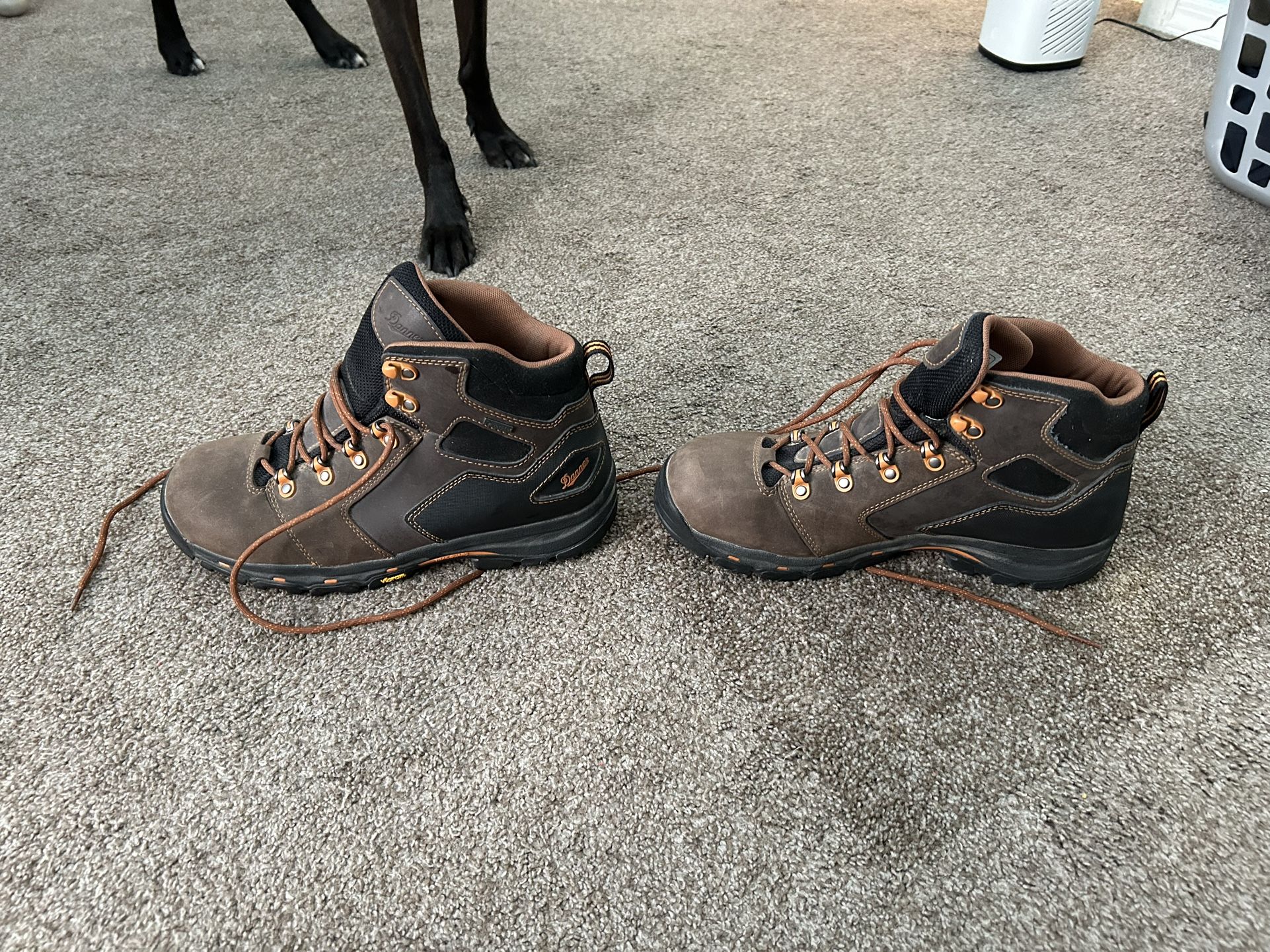 Danner Hiking Boots