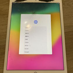 Apple iPad Pro 2nd Gen. 256 GB, Wi-Fi + 4G (Unlocked), 12.9 Inch