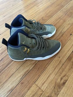 Air jordan shop 12 retro cp3
