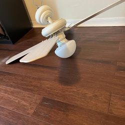 Ceiling Fan