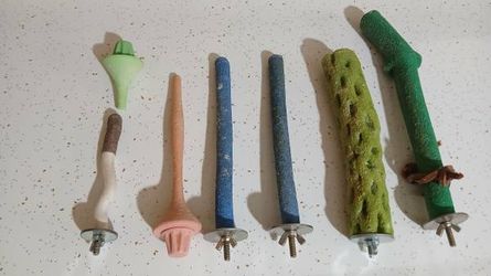 Bird Toys