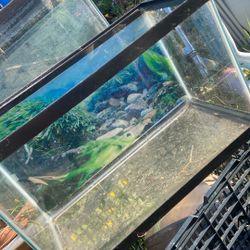 10 Gallon Fish Tank Price 10$. Pick. Up. 72   and. Grandview.   E.  Tacoma 