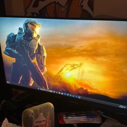 Acer Gaming Monitor 