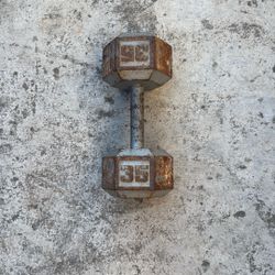 35lb Dumbbell 