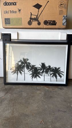 Black and White Palm Tree Framed Print