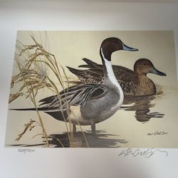 Ken Carlson 1982 Duck Print Signed & Numbered 