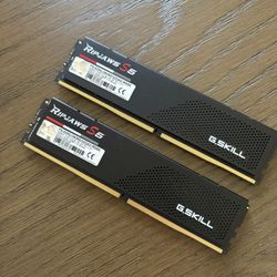 64gb DDR5 Ram