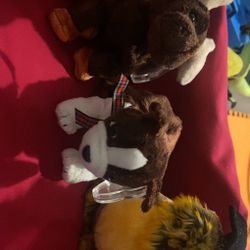 Beanie Babies 10 Years 