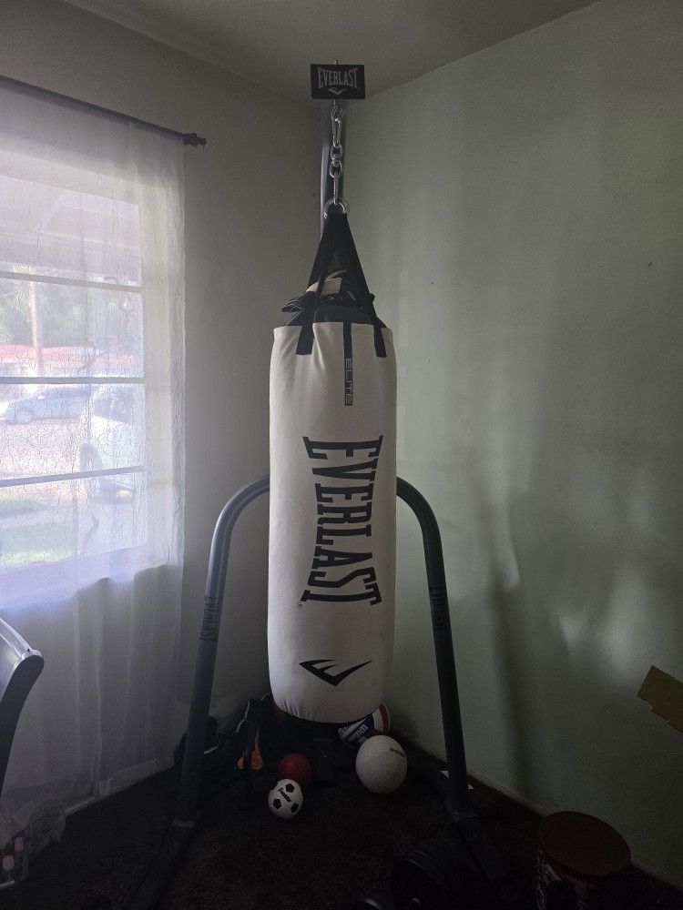 everlast punching bag with stand