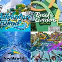 $50 EACH THEME PARK TICKETS I WILL MEET U AT GATE 