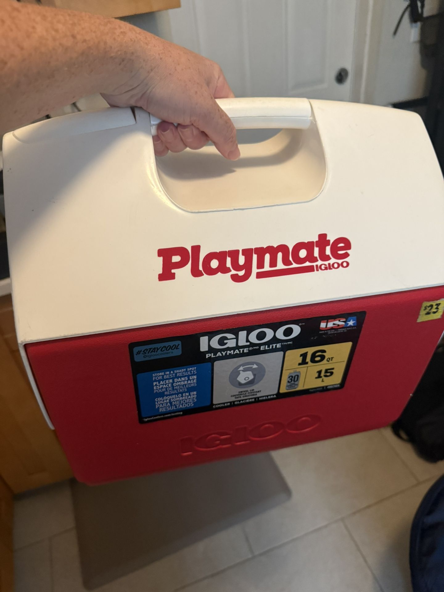 Playmate Igloo Cooler