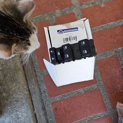 Switch,  Driver Front Window