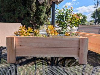 Handmade Tabletop Wood Planter – Perfect for Succulents & Herbs
