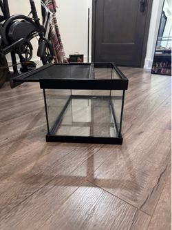 5 gallon tank
