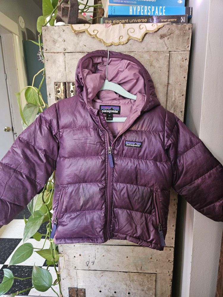 Patagonia Toddler Hi-Loft Jacket