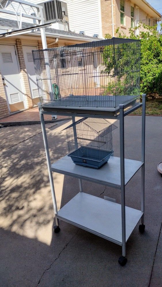 BIRD CAGE