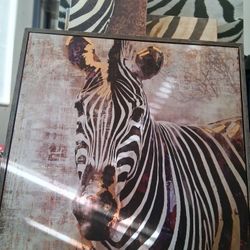 Zebra Canvas