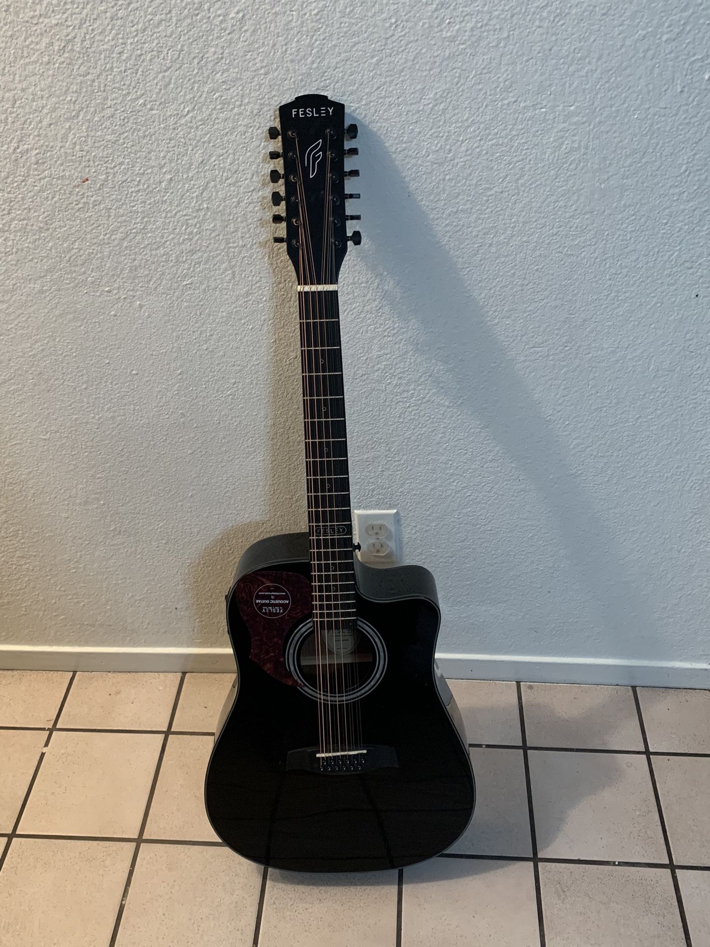 Fesley Acoustic Electric 12 String Guitar